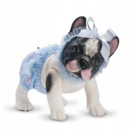 piesek-lily-buldog-francuski