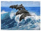 malowanie-po-numerach-dolphin-30x40cm-waga-z-opakowaniem-0-44-kg