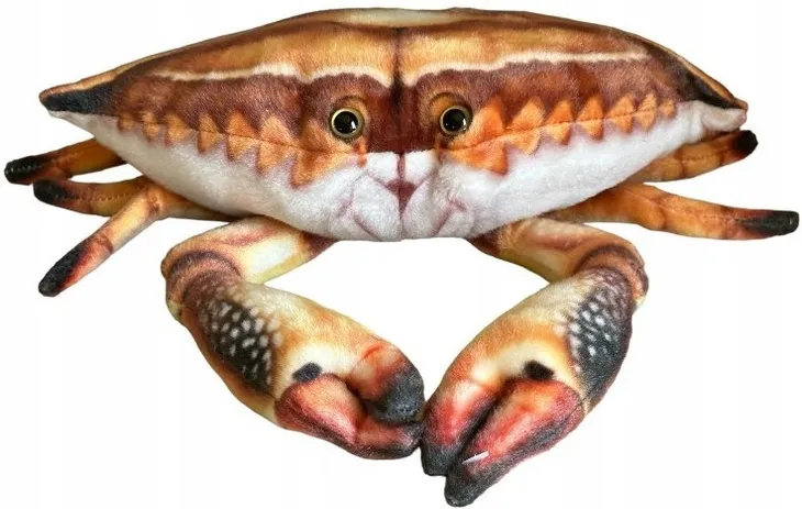 krab-31cm-stan-nowy
