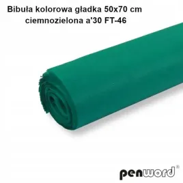 bibula-kolorowa-gladka-c-zielona-50x70cm-30ark