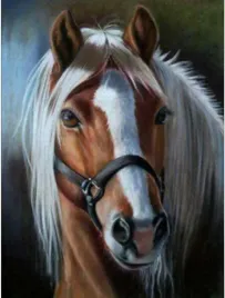 diamentowa-mozaika-kon-z-jasna-grzywa-no-1009222