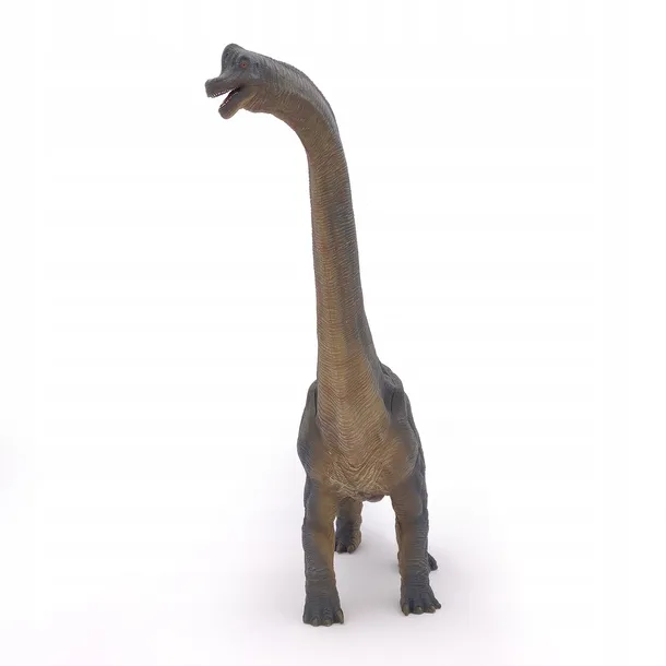 brachiozaur-papo-plec-chlopcy