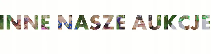 kosiarka-mix-liczba-produktow-w-zestawie-1-szt