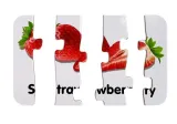 puzzle-edukacyjne-owoce-10el-bohater-brak