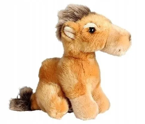 wielblad-stojacy-plec-chlopcy-dziewczynki