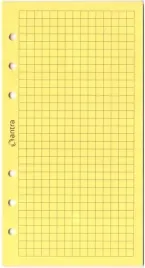 wklad-do-organizera-st-kratka-zolta