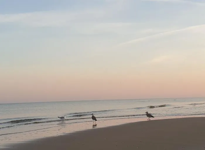 gravitrax-dodatek-petla-kolor-dominujacy-wielokolorowy