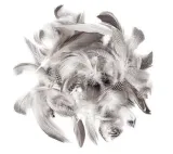 piora-kacze-5-12cm-5g-rodzaj-naturalne