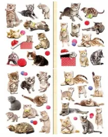 naklejki-3d-koty-mix