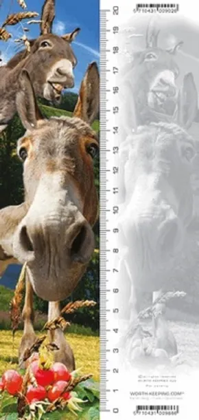 zakladka-3d-osiol-wysokosc-produktu-21-cm