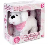 piesek-chodzacy-na-smyczy-natalia-bialy