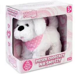 piesek-chodzacy-na-smyczy-natalia-bialy