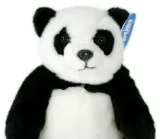 panda-28cm-plec-dziewczynki
