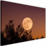 obraz-na-plotnie-canvas-duzy-ksiezyc