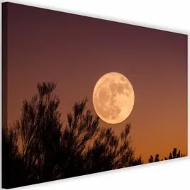 obraz-na-plotnie-canvas-duzy-ksiezyc