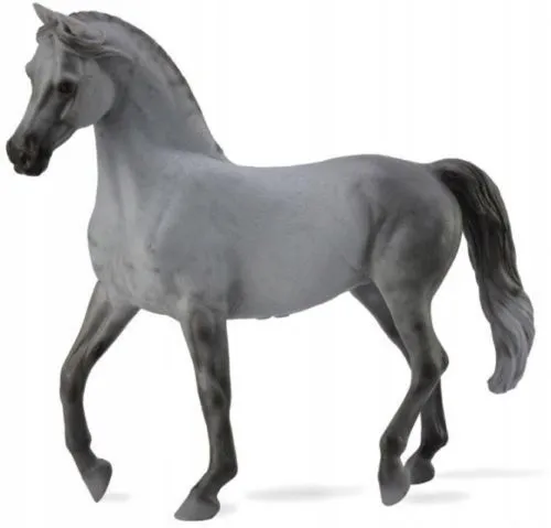 kon-arabian-mare-grey-plec-chlopcy-dziewczynki