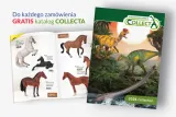 pies-dalmatynczyk-szczeniak-plec-chlopcy-dziewczynki