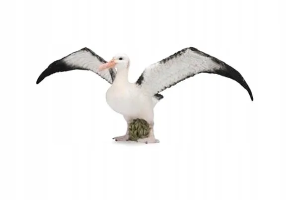 albatros-wedrowny-marka-collecta