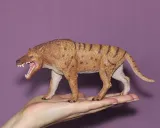 dinozaur-andrewsarchus-plec-chlopcy-dziewczynki
