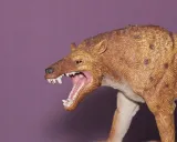 dinozaur-andrewsarchus-material-plastik