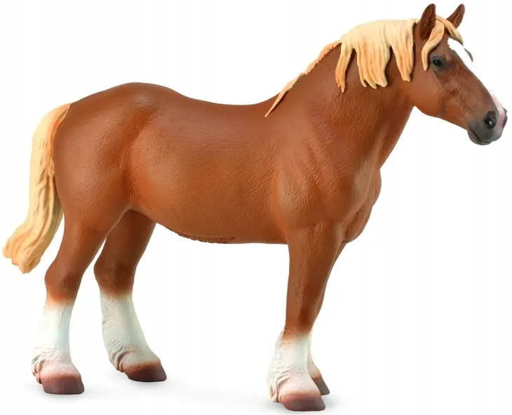 ogier-belgian-mare-gniady-bohater-brak