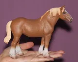 ogier-belgian-mare-gniady-marka-collecta