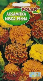 aksamitka-rozpierzchla-niska-1g-nasiona-kwiatow-polan