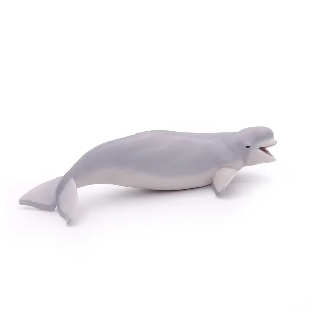 bieluga-plec-chlopcy