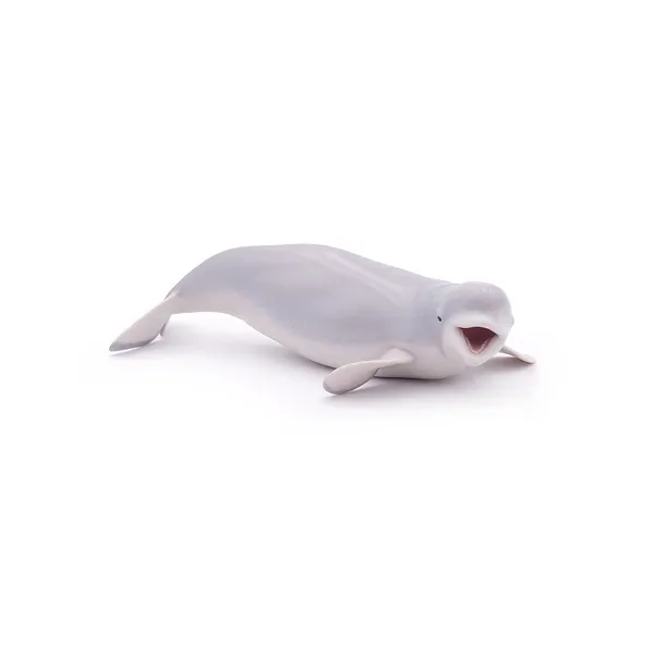 bieluga-marka-papo