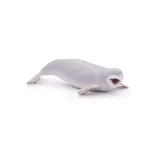 bieluga-marka-papo