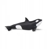 orka-mloda-papo-plec-chlopcy