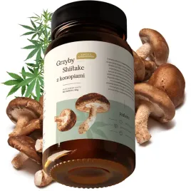 shitake-z-konopiami-i-kardamonem-90g-odpornosc-wirus-hpv-grzyby-medyczne