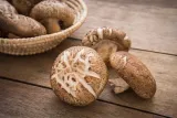 shitake-z-konopiami-i-kardamonem-90g-odpornosc-wirus-hpv-grzyby-medyczne