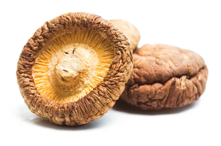 shitake-z-konopiami-i-kardamonem-90g-odpornosc-wirus-hpv-grzyby-medyczne