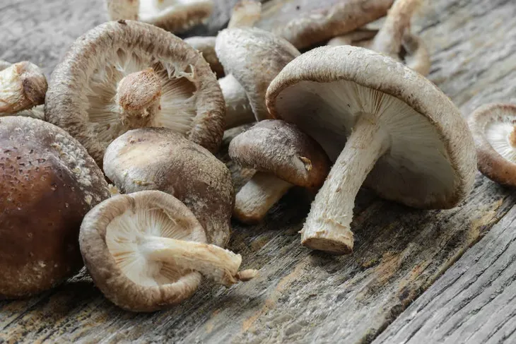 shitake-z-konopiami-i-kardamonem-90g-odpornosc-wirus-hpv-grzyby-medyczne
