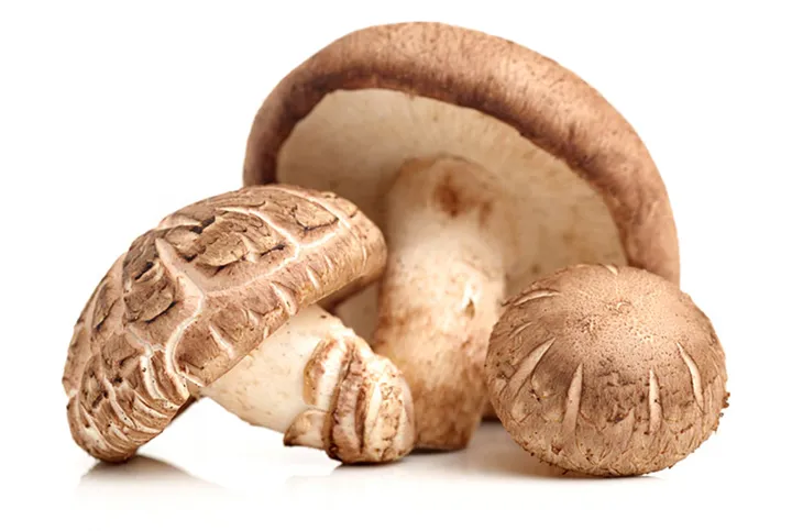 shitake-z-konopiami-i-kardamonem-90g-odpornosc-wirus-hpv-grzyby-medyczne