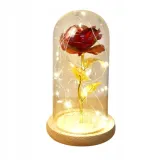 nagrywajaca-mata-do-tanczenia-stan-nowy