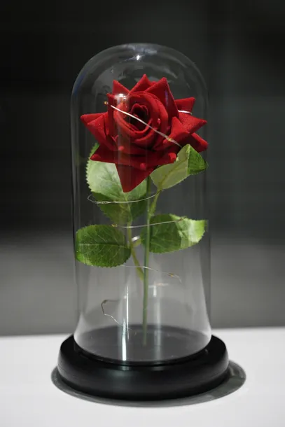 nagrywajaca-mata-do-tanczenia-stan-nowy-waga-z-opakowaniem-0-4-kg