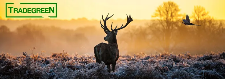 zatyczka-do-predatora-korek-wabika-scotch-predator-marka-predator
