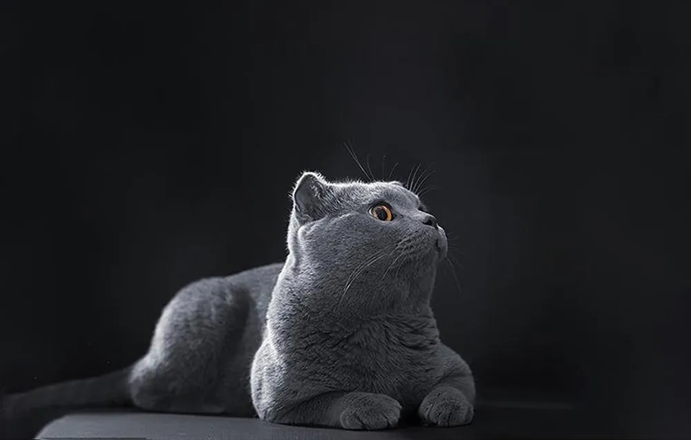 smart-motion-sensor-ws3ms