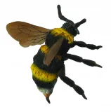 trzmiel-collecta-stan-nowy