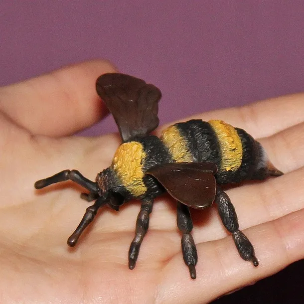 trzmiel-collecta-plec-chlopcy-dziewczynki