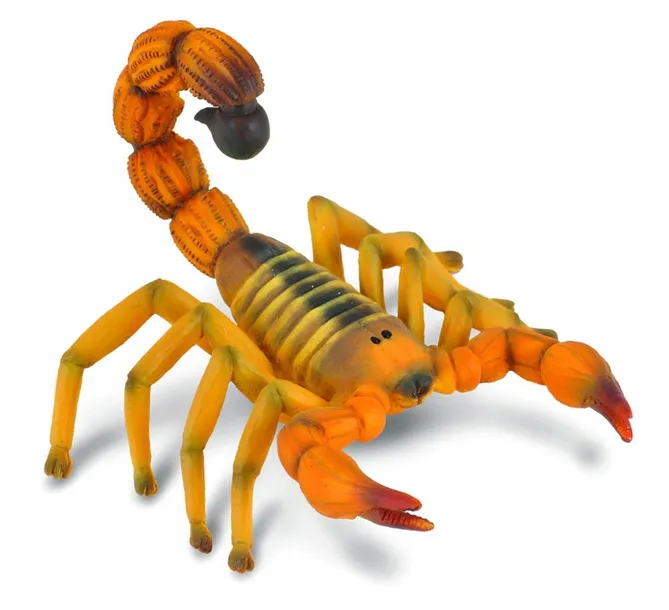 skorpion-bohater-brak