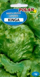 salata-krucha-lodowa-kinga-1g