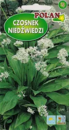 czosnek-niedzwiedzi-05g-polan-nasiona-warzywa