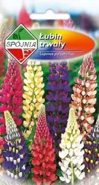 lubin-trwaly-3g-nasiona-kwiatow-spojnia