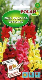 lwia-paszcza-wysoka-05g-nasiona-mix-polan