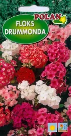 floks-drummonda-1g-nasiona-kwiatow-polan
