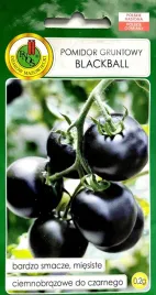 pomidor-gruntowy-blackball-02g-nasiona-warzyw