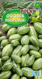 ogorek-meksykanski-10-nasion-polan-warzywa-nasiona